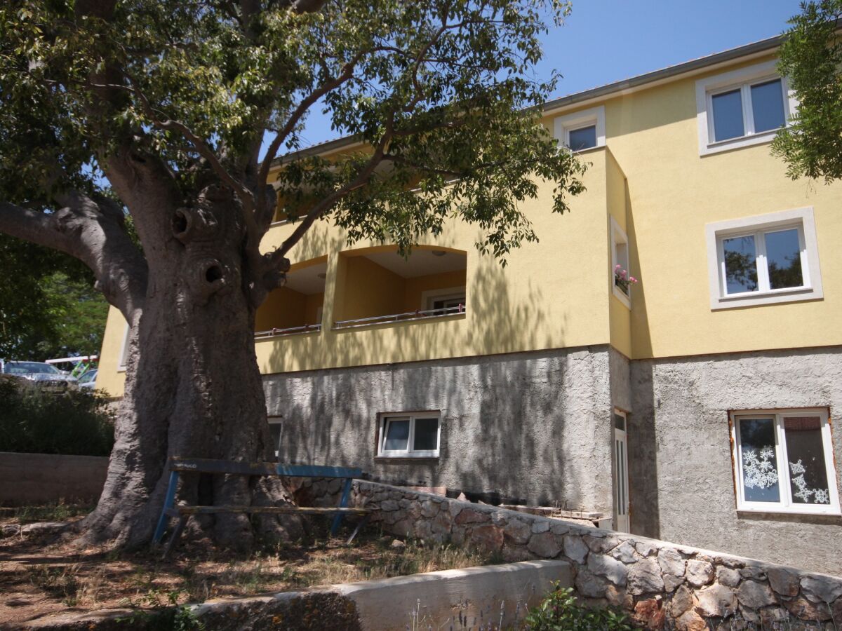 Apartment Two bedroom apartment with terrace Sali, Dugi otok A-8137-a - Outdoor photo 3