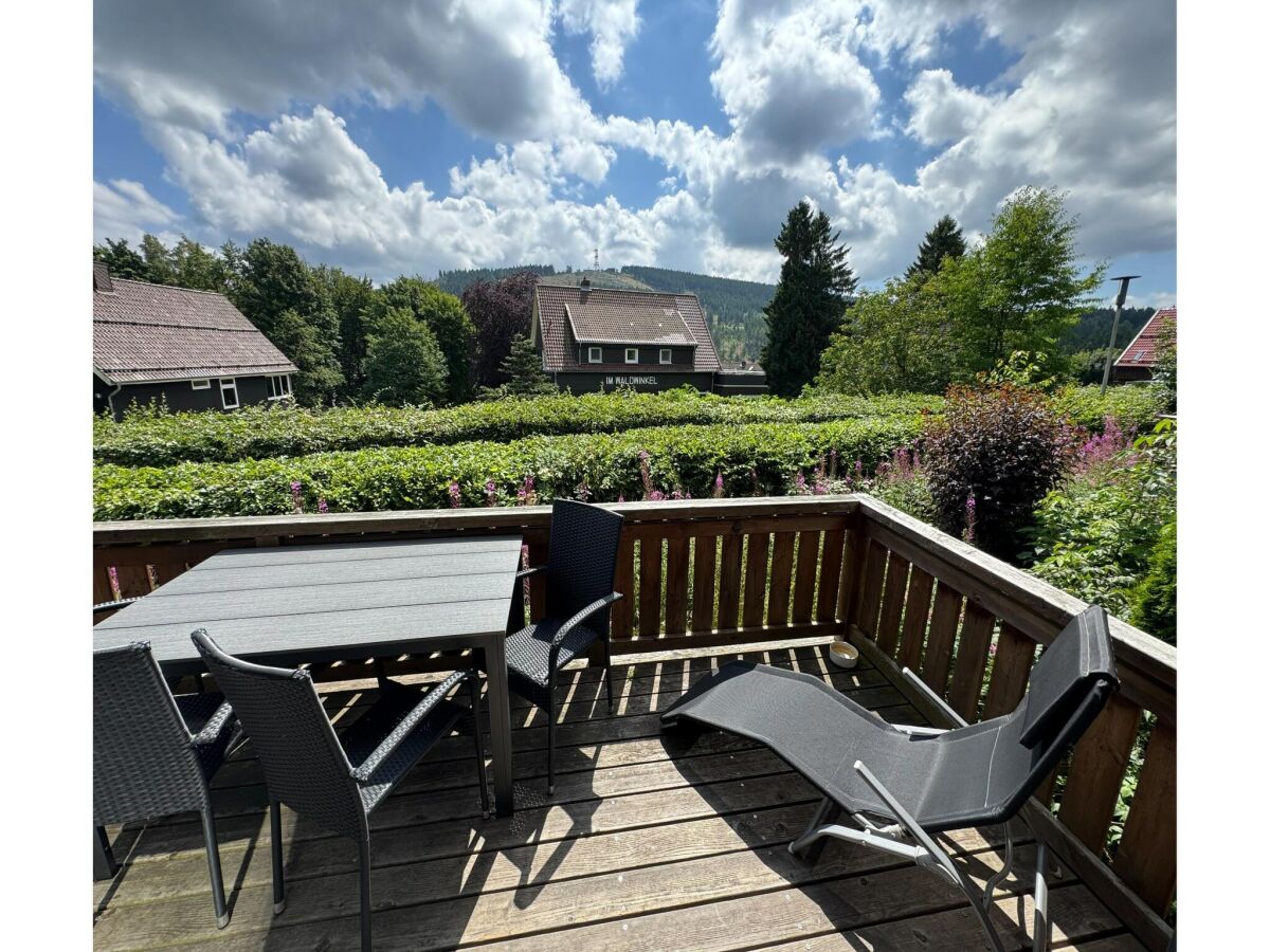 Holiday house Blockhütte im Harz mit Sauna und Kamin - Outdoor photo 2