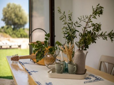 Villa Agrotouristic Villa in Rhodes - Features photo 13