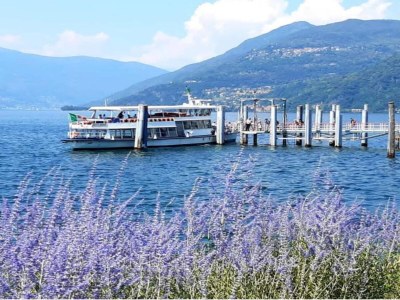 Apartment Apartment near Lago Maggiore and Lugano - Environment photo 33