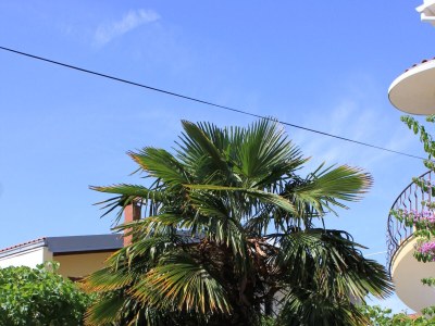 Apartment One bedroom apartment with balcony Kukljica, Ugljan A-8210-b - Outdoor photo 10