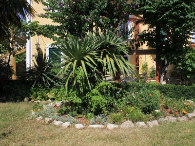 Apartment One bedroom apartment with balcony Kukljica, Ugljan A-8210-b - Outdoor photo 13