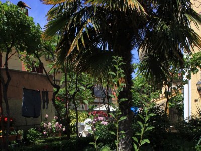 Apartment One bedroom apartment with balcony Kukljica, Ugljan A-8210-b - Outdoor photo 14