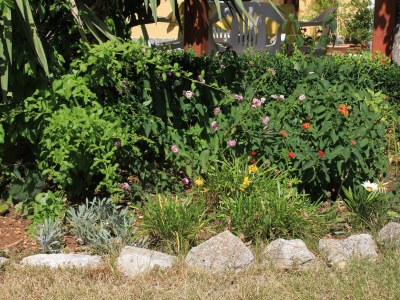 Apartment One bedroom apartment with balcony Kukljica, Ugljan A-8210-b - Outdoor photo 16