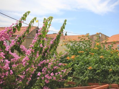 Apartment One bedroom apartment with balcony Kukljica, Ugljan A-8210-b - Outdoor photo 31