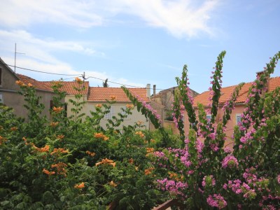 Apartment One bedroom apartment with balcony Kukljica, Ugljan A-8210-b - Outdoor photo 36
