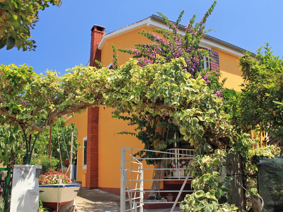 Apartment One bedroom apartment with air-conditioning Sali, Dugi otok A-8110-b