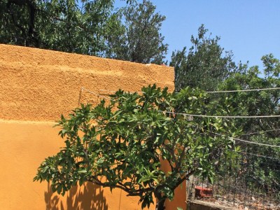 Apartment One bedroom apartment with air-conditioning Sali, Dugi otok A-8110-b - Outdoor photo 7