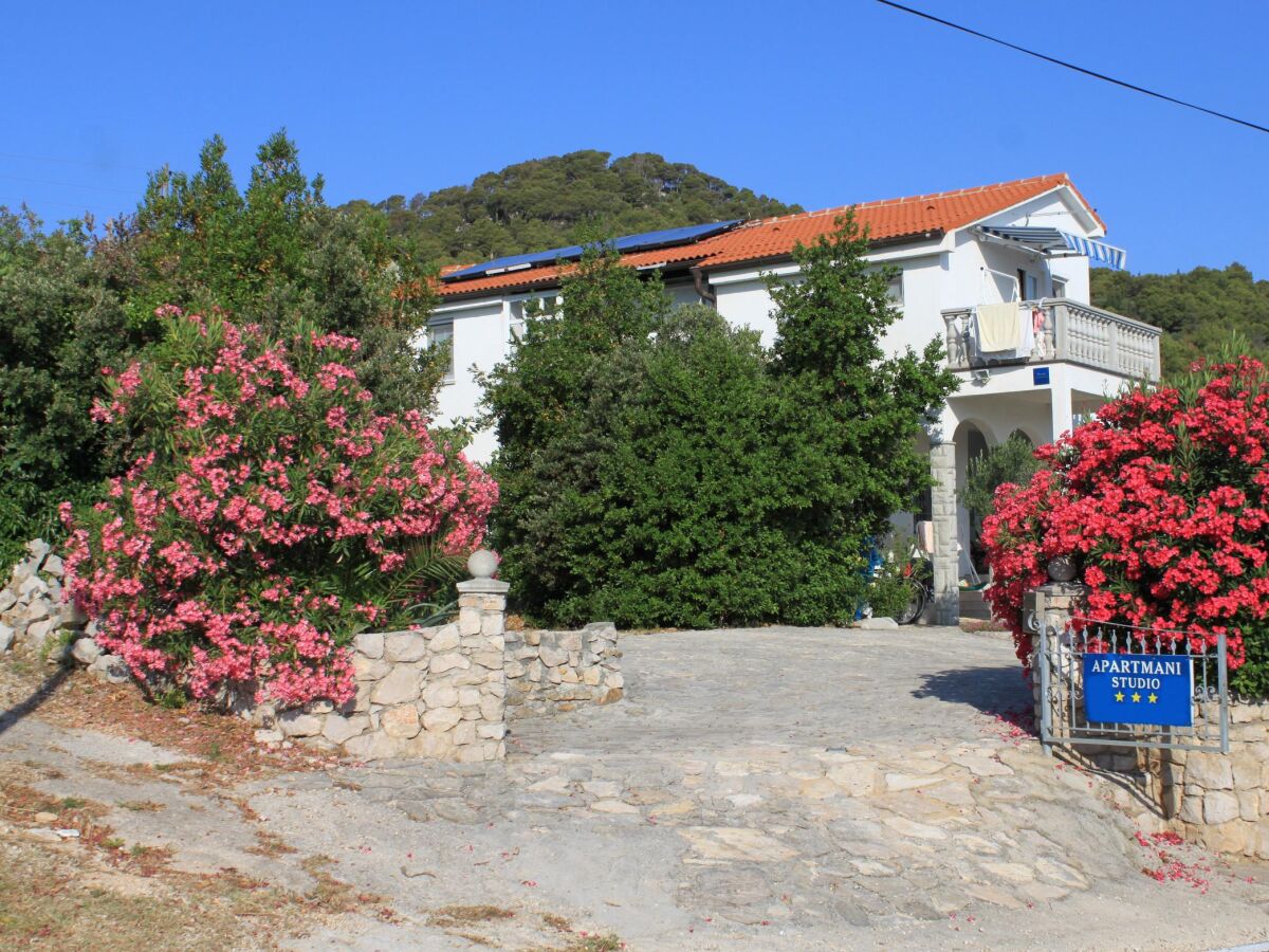 Apartment Studio flat with terrace and sea view Preko, Ugljan AS-8224-a