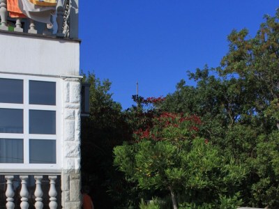 Apartment Studio flat with terrace and sea view Preko, Ugljan AS-8224-a - Outdoor photo 6