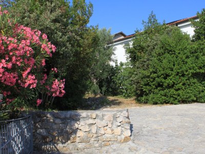 Apartment Studio flat with terrace and sea view Preko, Ugljan AS-8224-b - Outdoor photo 10