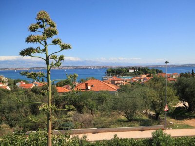 Apartment Studio flat with terrace and sea view Preko, Ugljan AS-8224-b - Outdoor photo 30