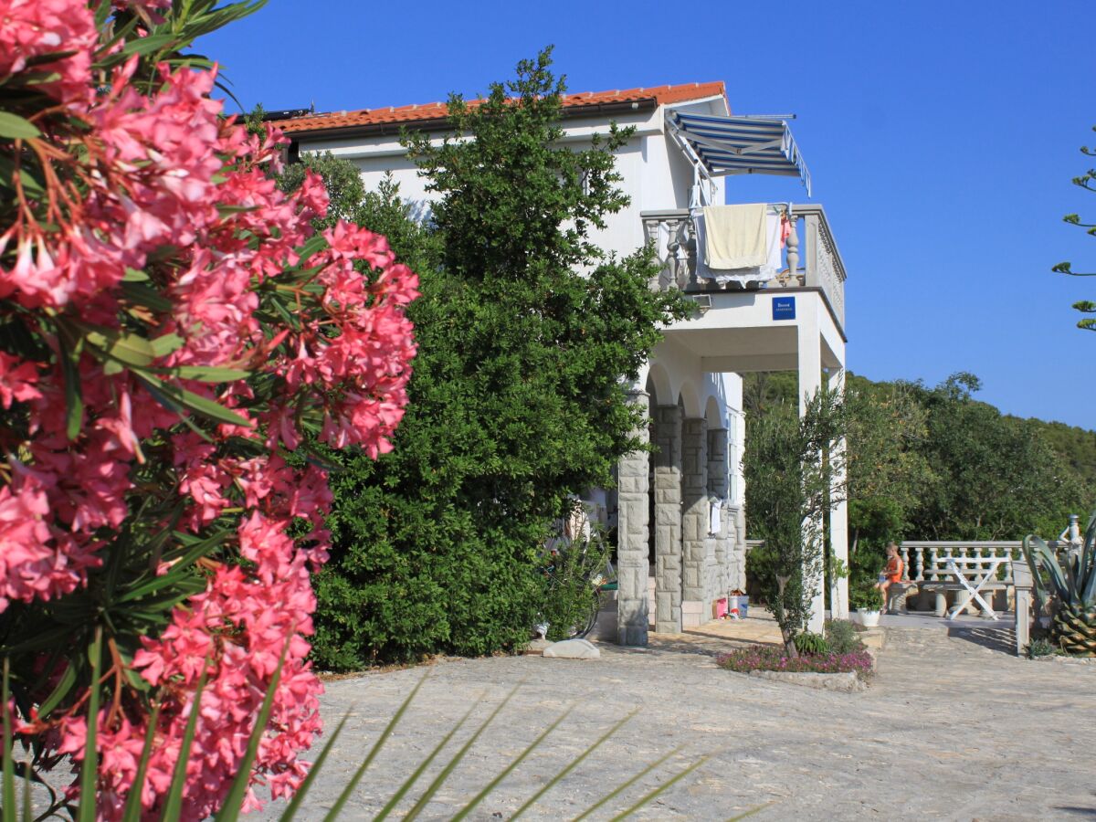 Apartment Studio flat with terrace and sea view Preko, Ugljan AS-8224-c - Outdoor photo 5