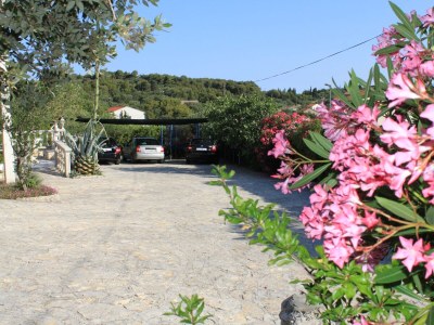 Apartment Studio flat with terrace and sea view Preko, Ugljan AS-8224-c - Outdoor photo 18