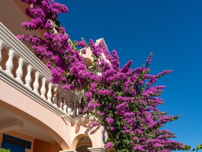 Apartment Two bedroom apartment with terrace Pašman A-8214-a - Outdoor photo 4