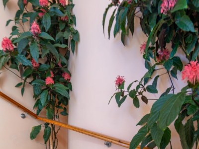 Apartment Two bedroom apartment with terrace Pašman A-8214-a - Outdoor photo 6