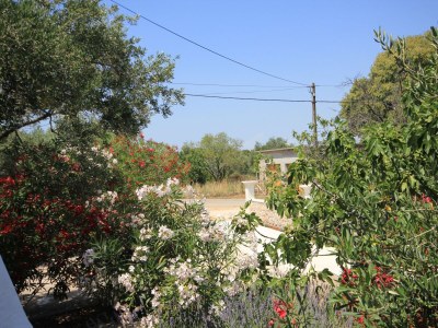 Apartment Two bedroom apartment with terrace Pašman A-8214-a - Outdoor photo 29