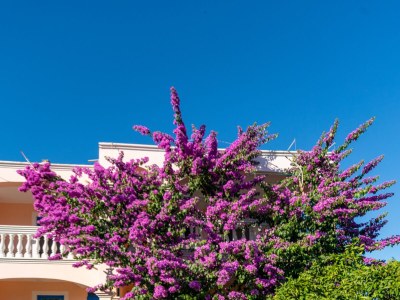 Apartment Two bedroom apartment with terrace Pašman A-8214-b - Outdoor photo 3