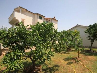 Apartment One bedroom apartment with terrace and sea view Neviđane, Pašman A-8273-b - Outdoor photo 4