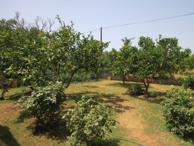 Apartment One bedroom apartment with terrace and sea view Neviđane, Pašman A-8273-b - Outdoor photo 8