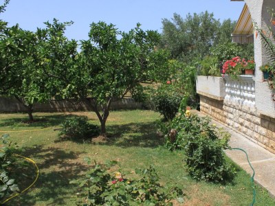 Apartment One bedroom apartment with terrace and sea view Neviđane, Pašman A-8273-b - Outdoor photo 9
