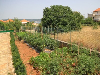 Apartment One bedroom apartment with terrace and sea view Neviđane, Pašman A-8273-b - Outdoor photo 10