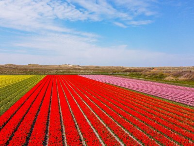 Bungalow Veenendaal - Environment photo 13