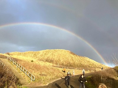 Bungalow Veenendaal - Environment photo 16