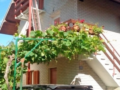 Apartment Two bedroom apartment with terrace Žaborić, Šibenik A-8368-b - Outdoor photo 8