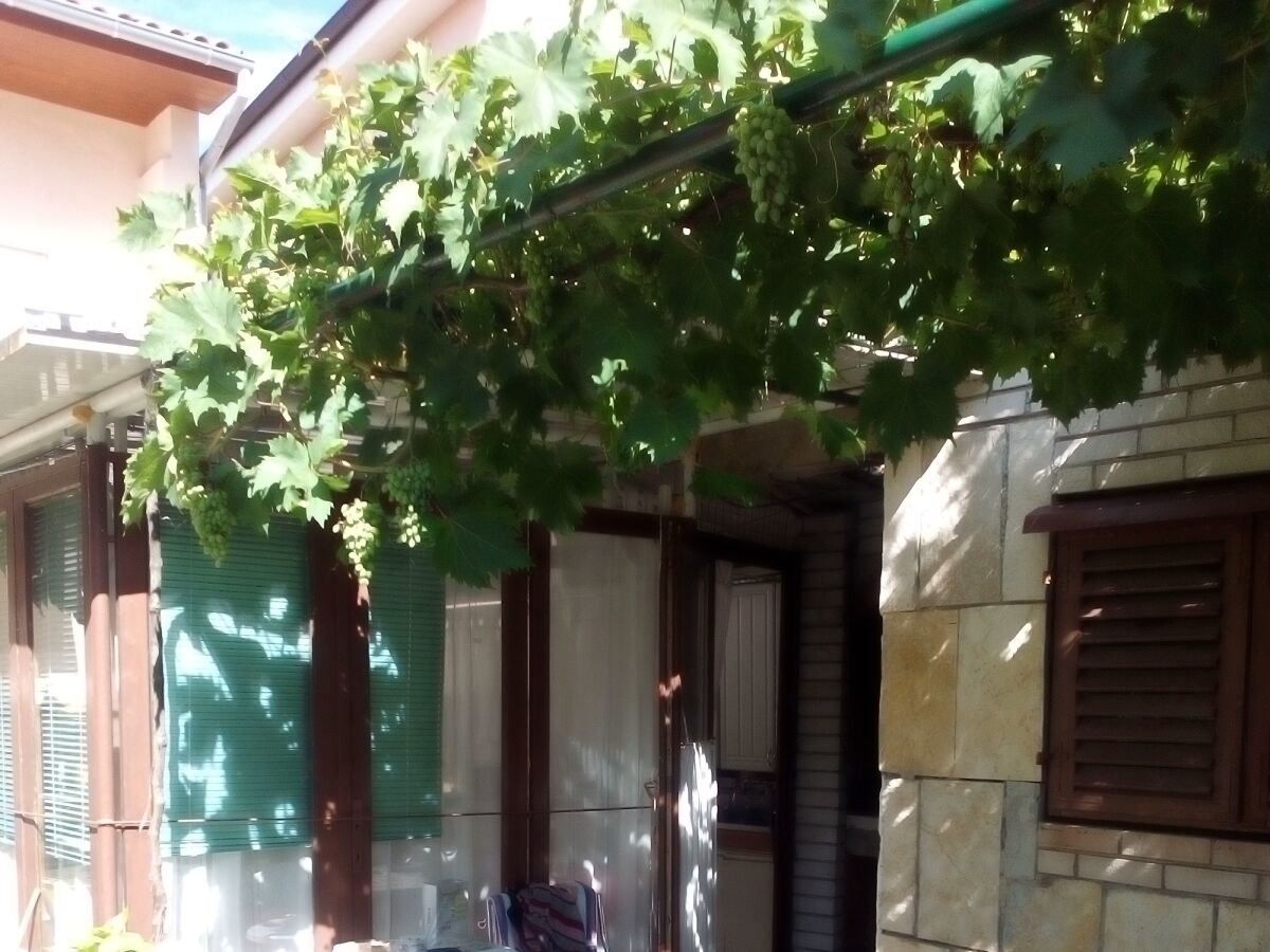 Apartment One bedroom apartment with terrace Žaborić, Šibenik A-8368-c - Outdoor photo 4