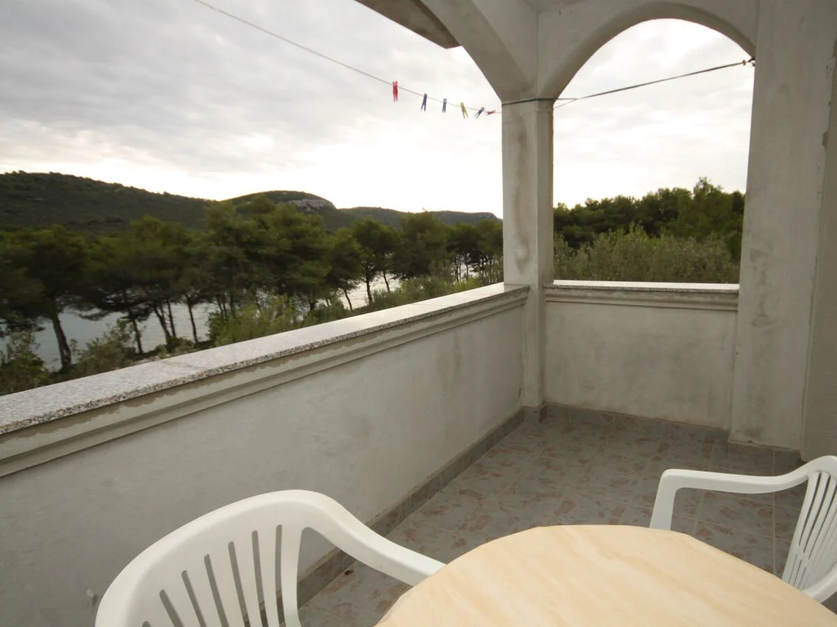 Apartment One bedroom apartment near beach Cove Mala Lamjana, Ugljan A-8461-a