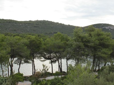 Apartment One bedroom apartment near beach Cove Mala Lamjana, Ugljan A-8461-a - Outdoor photo 29