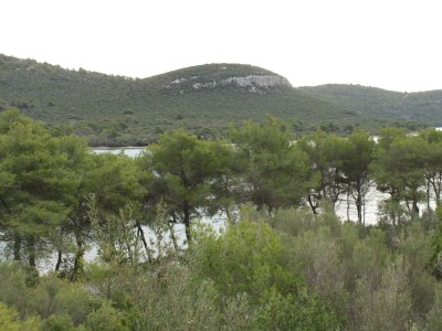 Apartment Studio flat near beach Cove Mala Lamjana, Ugljan AS-8461-a - Outdoor photo 29