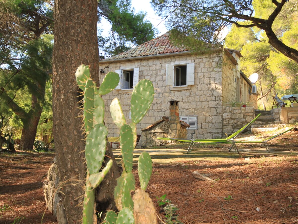 Apartment One bedroom apartment with terrace and sea view Milna, Vis A-8490-a