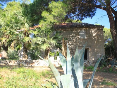 Apartment One bedroom apartment with terrace and sea view Milna, Vis A-8490-a - Outdoor photo 5