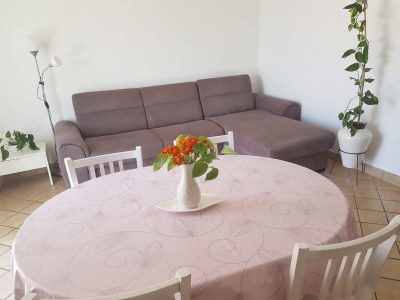 Apartment One bedroom apartment near beach Slano, Dubrovnik A-8599-a - Outdoor photo 15