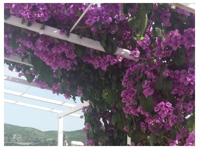 Apartment One bedroom apartment near beach Slano, Dubrovnik A-8599-a - Outdoor photo 20