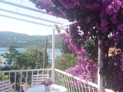 Apartment One bedroom apartment near beach Slano, Dubrovnik A-8599-a - Outdoor photo 21