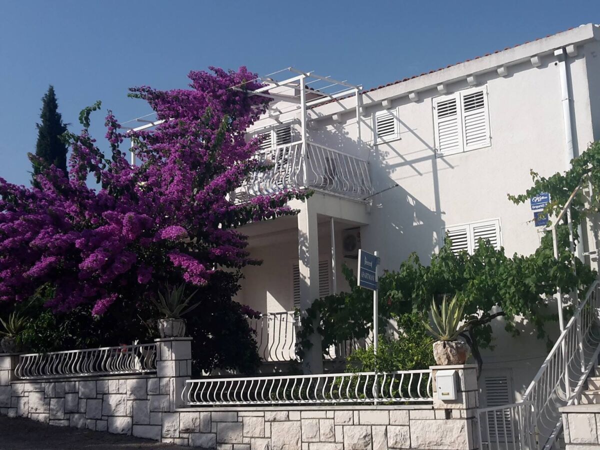 Apartment Studio flat near beach Slano, Dubrovnik AS-8599-a - Outdoor photo 5