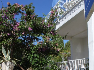 Apartment Studio flat near beach Slano, Dubrovnik AS-8599-b - Outdoor photo 9