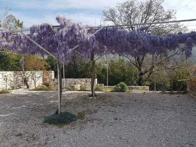 Apartment Studio flat near beach Slano, Dubrovnik AS-8599-b - Outdoor photo 13