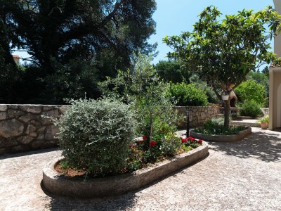 Apartment One bedroom apartment with terrace and sea view Muline, Ugljan A-8521-d - Outdoor photo 8