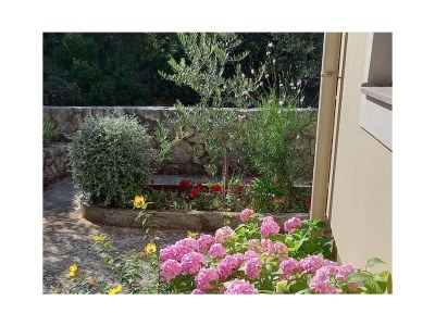 Apartment One bedroom apartment with terrace and sea view Muline, Ugljan A-8521-d - Outdoor photo 11