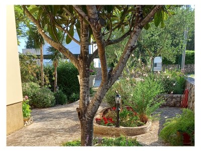 Apartment One bedroom apartment with terrace Muline, Ugljan A-8521-e - Outdoor photo 10