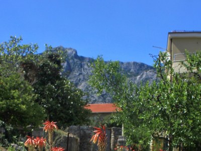 Apartment Two bedroom apartment with terrace Orebić, Pelješac A-10097-b - Outdoor photo 5