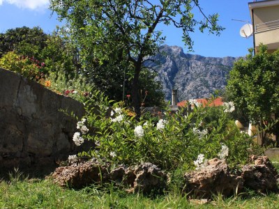 Apartment Two bedroom apartment with terrace Orebić, Pelješac A-10097-b - Outdoor photo 7