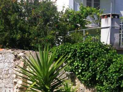 Apartment Two bedroom apartment with terrace Orebić, Pelješac A-10097-b - Outdoor photo 8