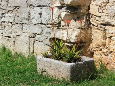 Apartment Two bedroom apartment with terrace Orebić, Pelješac A-10097-b - Outdoor photo 10