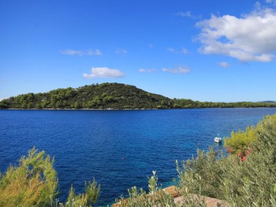 Apartment Two bedroom apartment near beach Karbuni, Korčula A-9308-b - Outdoor photo 32