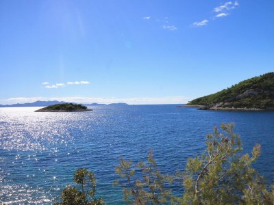 Apartment Two bedroom apartment near beach Karbuni, Korčula A-9308-b - Outdoor photo 33